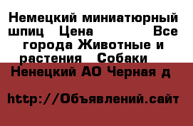 Немецкий миниатюрный шпиц › Цена ­ 60 000 - Все города Животные и растения » Собаки   . Ненецкий АО,Черная д.